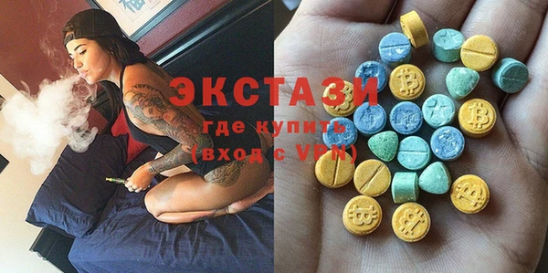 ECSTASY Богородицк